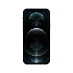 Apple iPhone 12 Pro 256gb Silver Enjoy Business Class