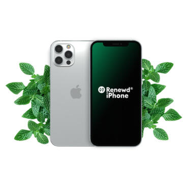 Apple iPhone 12 Pro Max 256gb Silver Enjoy Economy Class (Battery New Compatible)